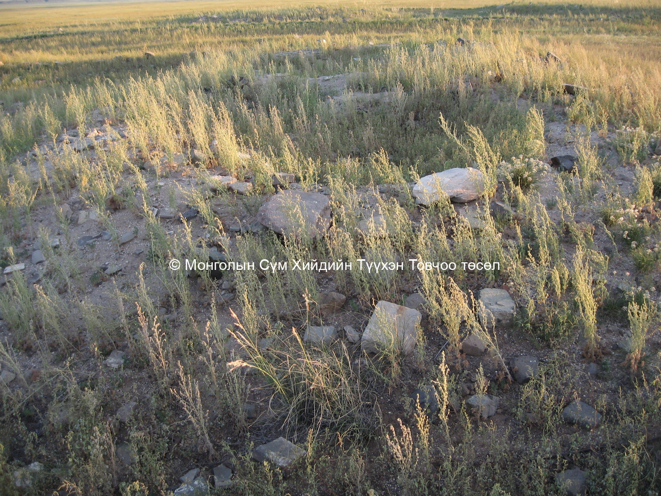 Талын модонгийн хийдийн туурь/3/